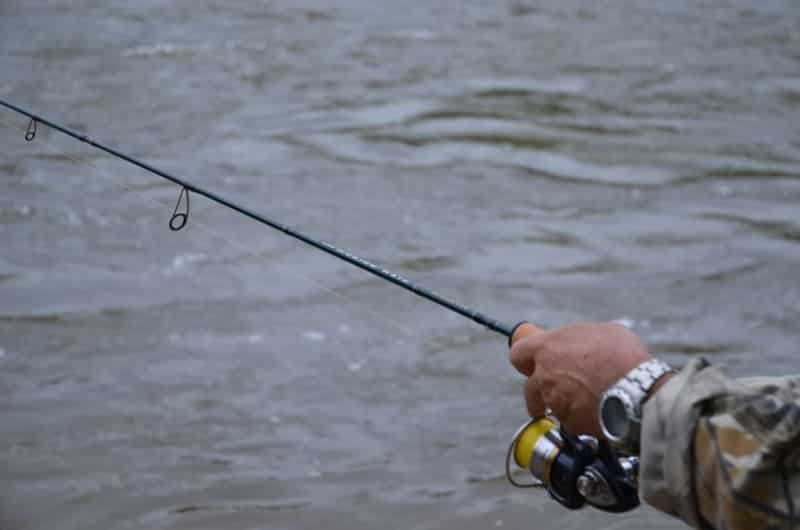 Жерех на спиннинг, приманка, секреты, ловля весной, осенью и летом