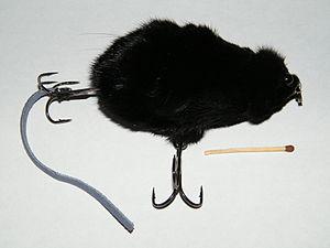 Мышь рыболовная