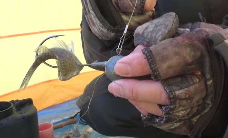 Мормышка на налима и вариант оснастки мяса