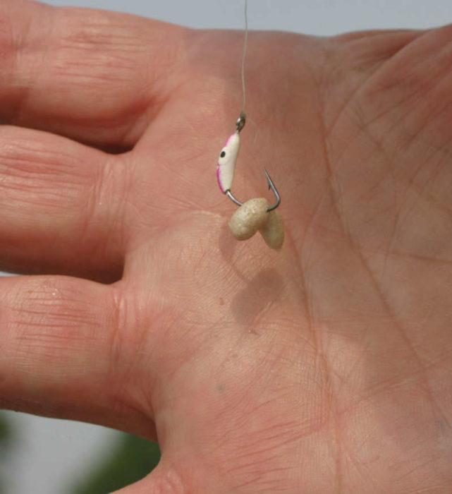 приманка для плотвы зимой