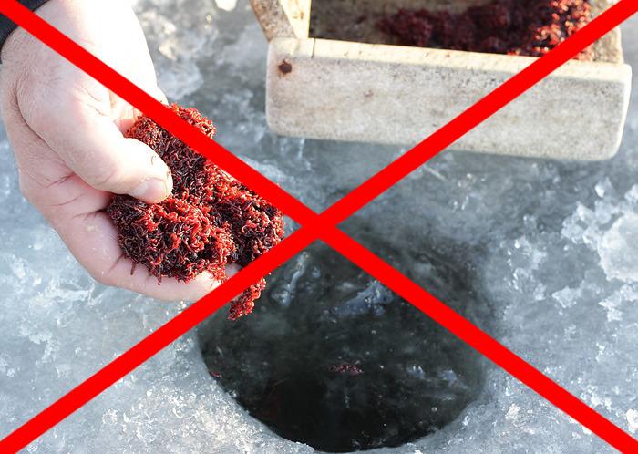 Зимняя прикормка на леща для подледной ловли