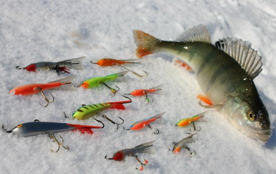 Окунь пойманный в декабре