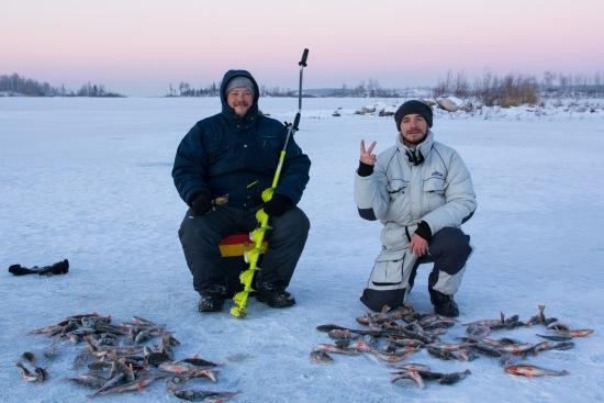 Рыболова наловили окуня