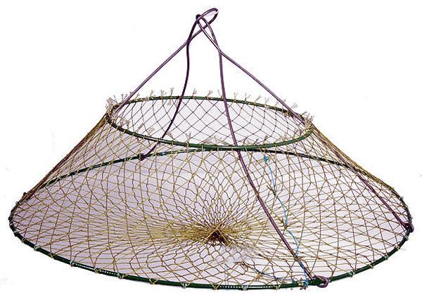 Обширное руководство по ловле раков