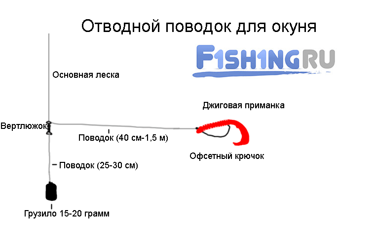 Отводной поводок для окуня