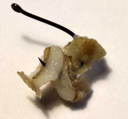 Как насадить перловку на крючок