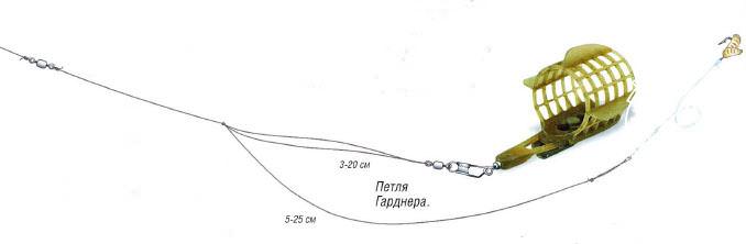 Петля Гарднера