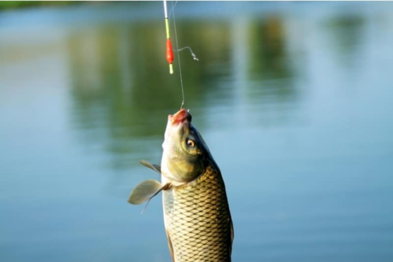 Календарь рыбака