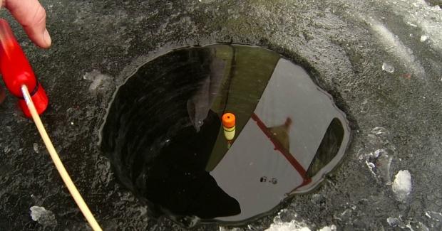 Поплавок зимний