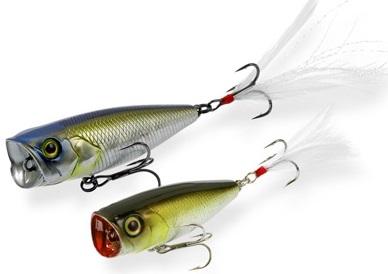 Ловля сома на спиннинг: выбор удилища, оснастки и приманок, ловля весной, летом и осенью