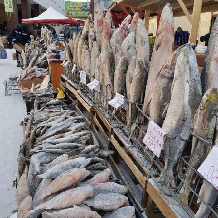 Цена пеляди