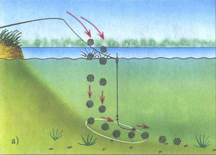Ловля карпа на поплавочную удочку: выбор снасти, оснастки, прикормок и наживок