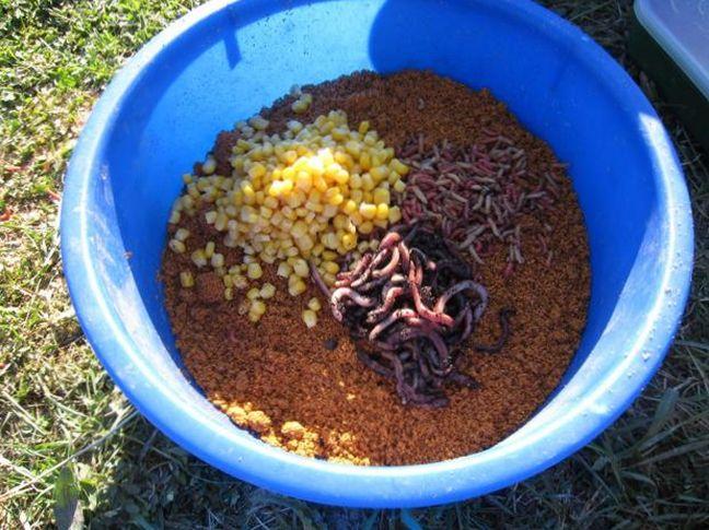 Прикорм форель