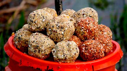 Плотва весной: ловля на поплавок и фидер