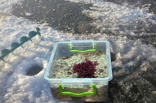 Зимняя прикормка на леща лучшие рецепты