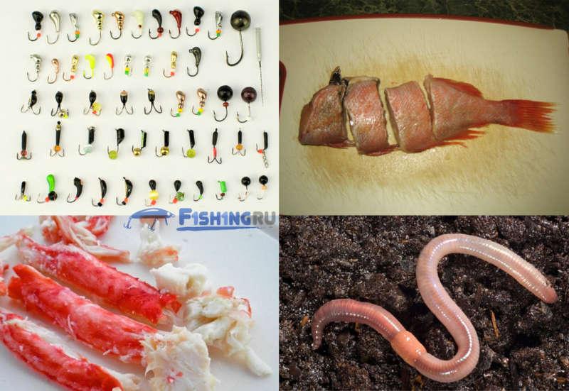 Приманки на сига, на что ловят сиг