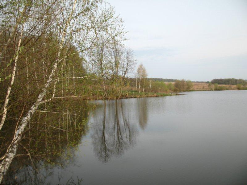 осенний пруд