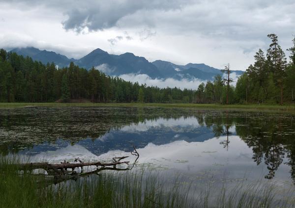 Весенний пруд