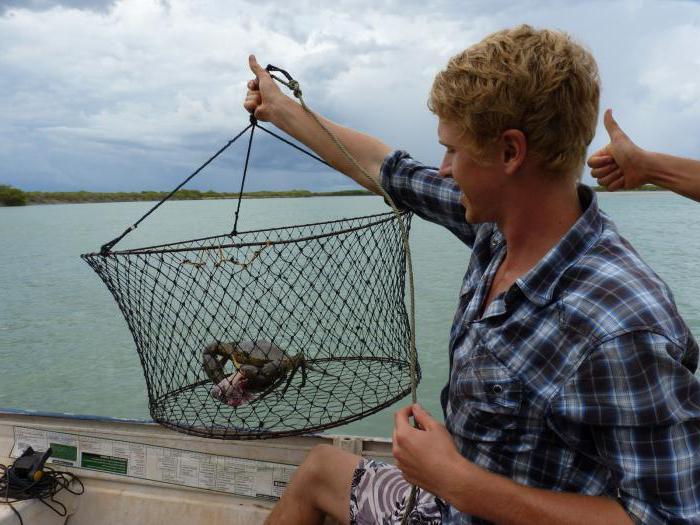Рак пойманный на раколовку