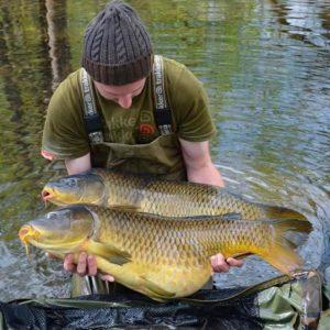 Два карпа в руках рыбака