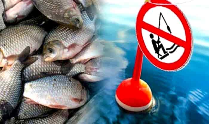 Какой штраф за ловлю рыбы