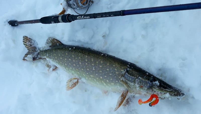 Спиннинг Блэк Холл (Black Hole)
