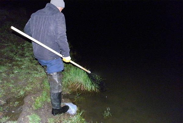 Ловля рака сачком