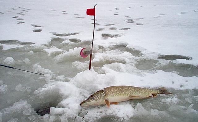 Жерлица на одном шесте