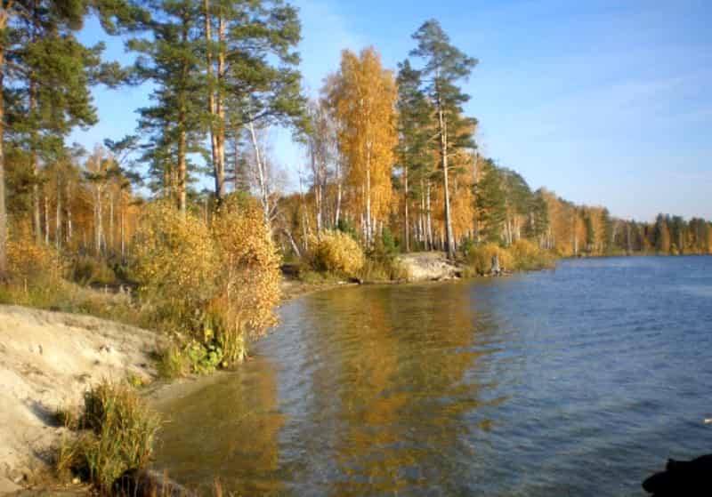 Прогноз клева рыбы в Свердловской области на завтра, 5 дней, неделю