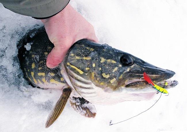 Щука на балансир