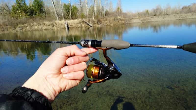 Silver Stream Neo Line Solid NLS572EXUL