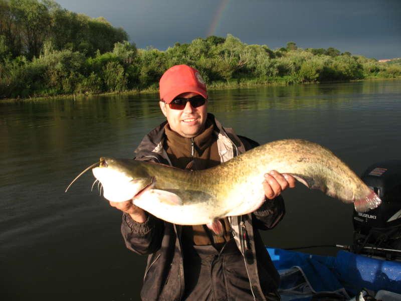 Ловля сома в пасмурную погоду