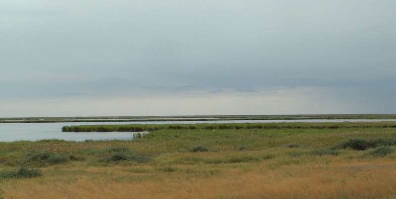 Места обитания рыбы пелядь