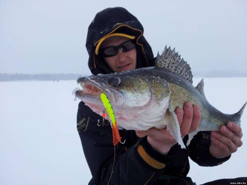 Яркий балансир