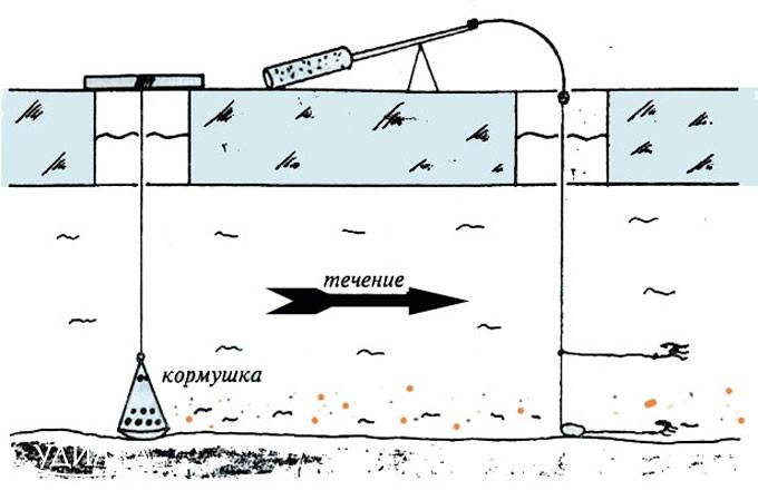 Прикармливание по течению