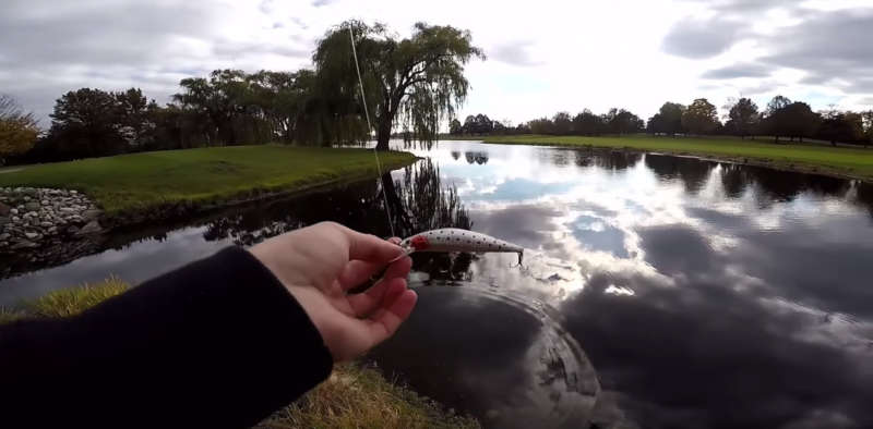 Twitching lure где купить, отзывы, обзор