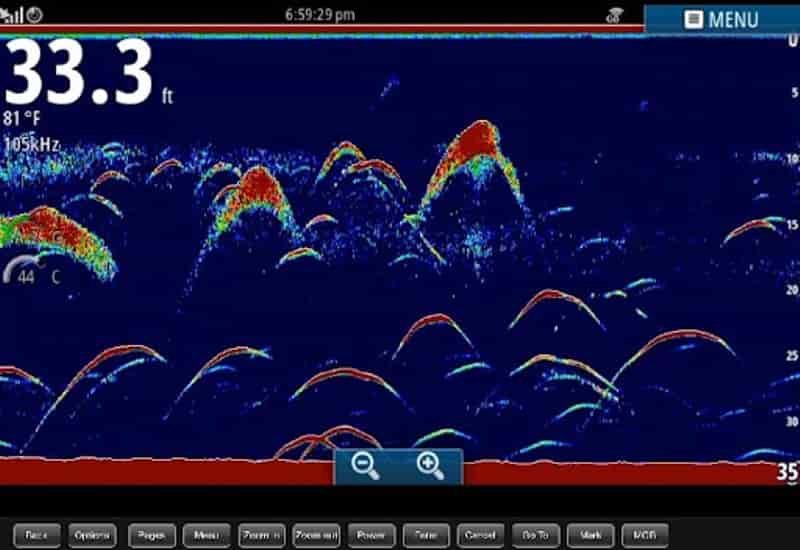 косяк рыбы на экране эхолота