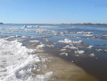 Прикормка леща по сезону
