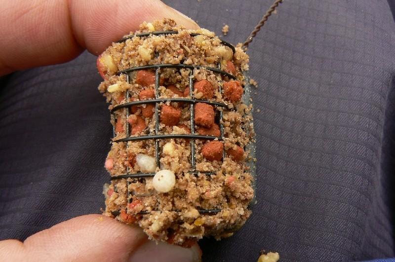 Ловля карпа в октябре - трофейная охота на фидер и донку