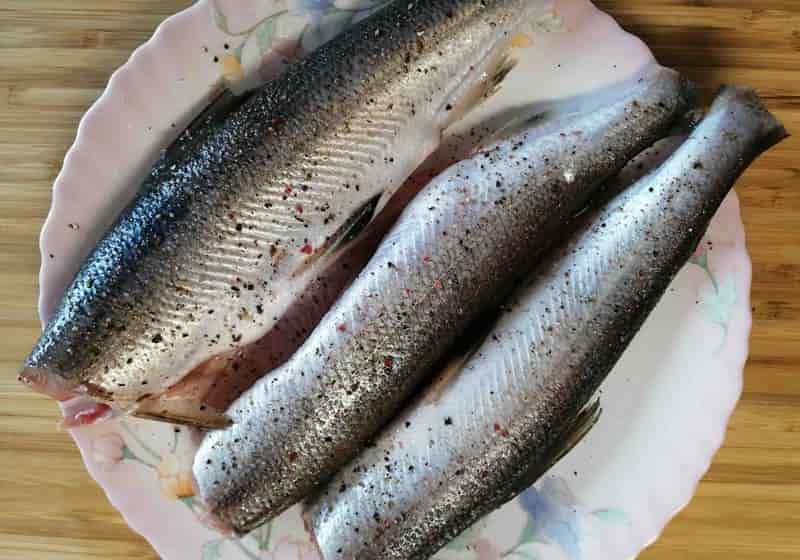 Что за рыба ряпушка– фото, рецепты, где водится, рыбалка