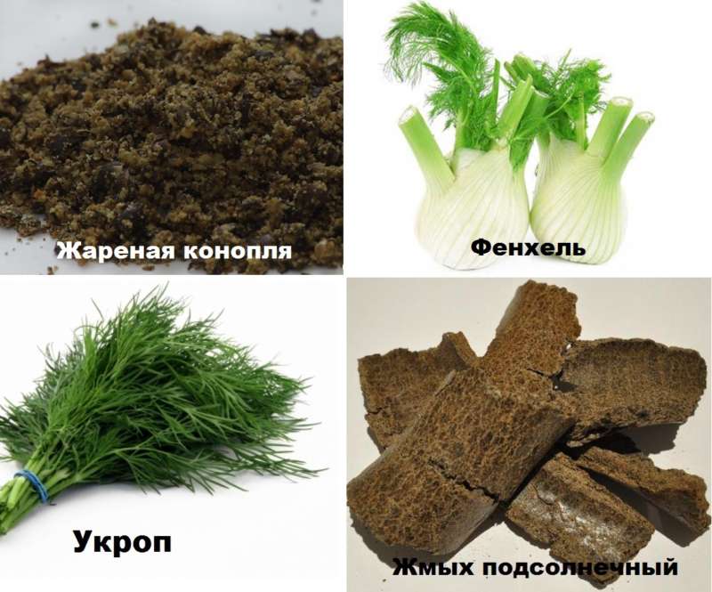 Ловля карпа на бойлы: как сделать бойлы, выбор оснасток, ловля весной, летом и осенью