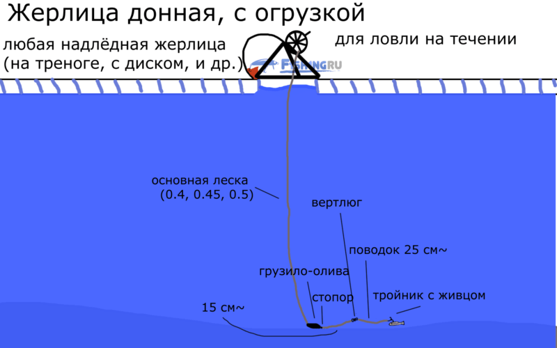 Рыбалка на налима зимой - лучшие способы ловли