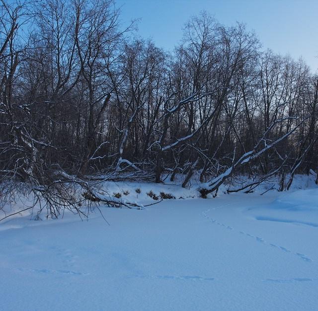 Где искать хариуса зимой на реках?