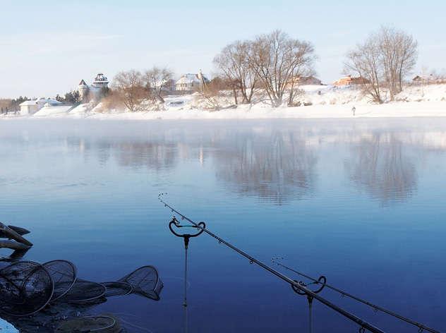 Зимний фидер