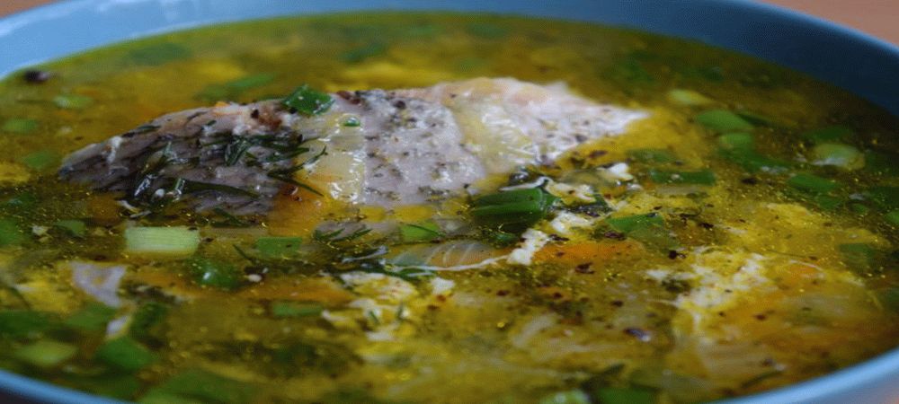 Простой и вкусный рецепт ухи из щуки Уха из щуки в домашних условиях